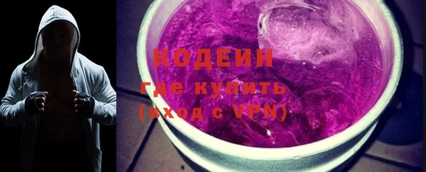 хмурый Белокуриха