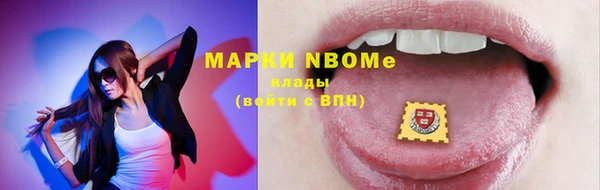 хмурый Белокуриха