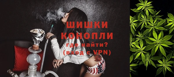хмурый Белокуриха
