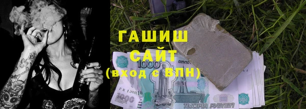 хмурый Белокуриха