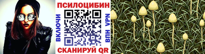 Галлюциногенные грибы GOLDEN TEACHER  blacksprut вход  Дудинка 